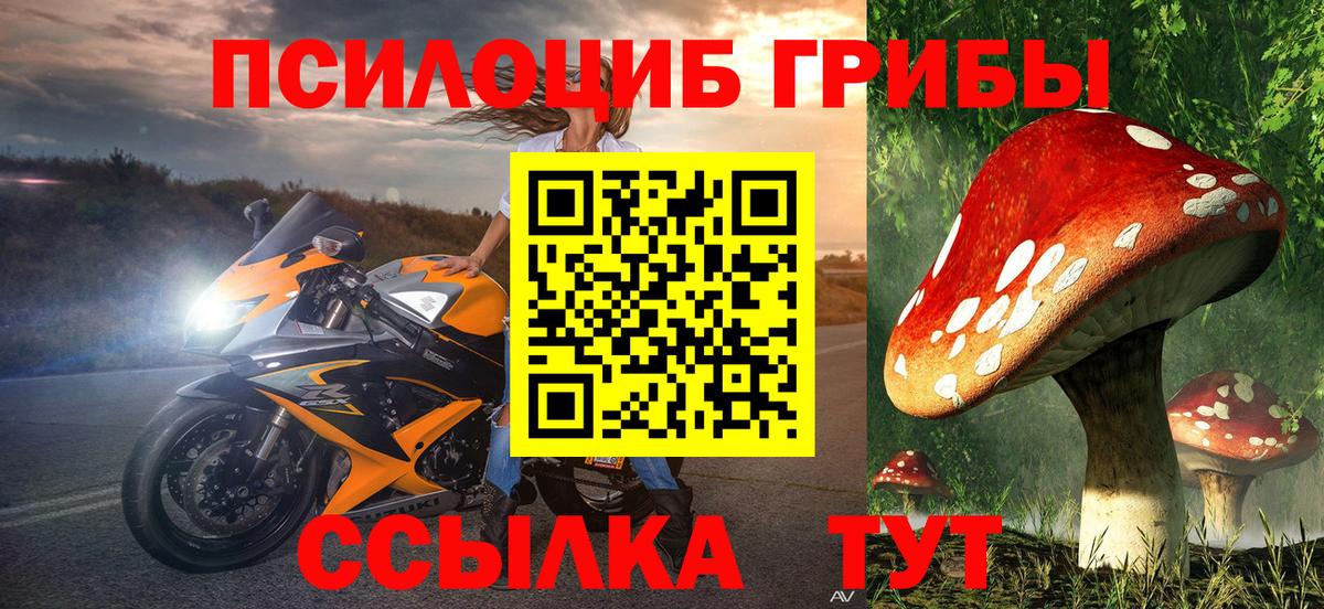 Галлюциногенные грибы Magic Shrooms  купить наркотики сайты  Братск  Вход с VPN 