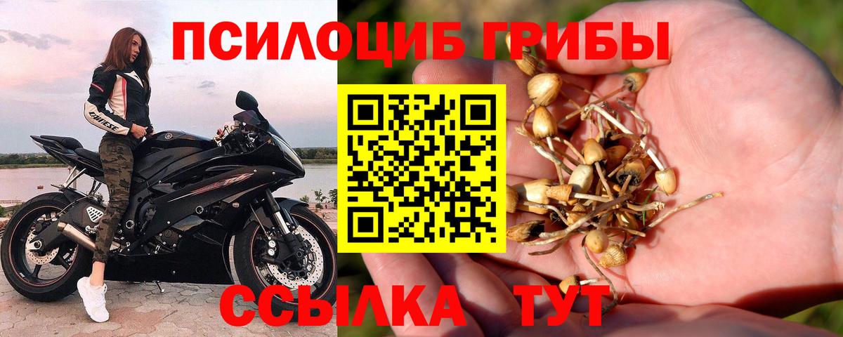 Галлюциногенные грибы Magic Shrooms Братск